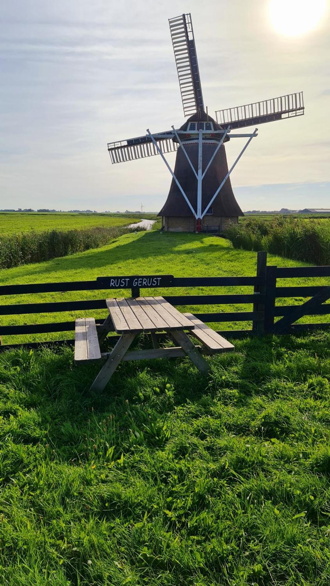 Blomsteech